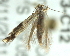  ( - BIOUG02123-C12)  @13 [ ] CreativeCommons - Attribution (2012) CBG Photography Group Centre for Biodiversity Genomics