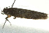  ( - BIOUG02124-H08)  @13 [ ] CreativeCommons - Attribution (2012) CBG Photography Group Centre for Biodiversity Genomics