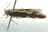  ( - BIOUG02124-H11)  @13 [ ] CreativeCommons - Attribution (2012) CBG Photography Group Centre for Biodiversity Genomics