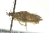  ( - BIOUG02125-B01)  @13 [ ] CreativeCommons - Attribution (2012) CBG Photography Group Centre for Biodiversity Genomics