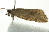  ( - BIOUG02125-B08)  @12 [ ] CreativeCommons - Attribution (2012) CBG Photography Group Centre for Biodiversity Genomics