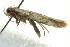  ( - BIOUG02125-F04)  @12 [ ] CreativeCommons - Attribution (2012) CBG Photography Group Centre for Biodiversity Genomics