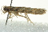  ( - BIOUG02125-F06)  @12 [ ] CreativeCommons - Attribution (2012) CBG Photography Group Centre for Biodiversity Genomics