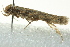  ( - BIOUG02125-F07)  @12 [ ] CreativeCommons - Attribution (2012) CBG Photography Group Centre for Biodiversity Genomics