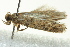  ( - BIOUG02125-F12)  @12 [ ] CreativeCommons - Attribution (2012) CBG Photography Group Centre for Biodiversity Genomics
