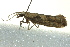  ( - BIOUG02125-G11)  @12 [ ] CreativeCommons - Attribution (2012) CBG Photography Group Centre for Biodiversity Genomics