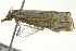  ( - BIOUG02125-H06)  @12 [ ] CreativeCommons - Attribution (2012) CBG Photography Group Centre for Biodiversity Genomics