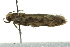  ( - BIOUG02126-C06)  @12 [ ] CreativeCommons - Attribution (2012) CBG Photography Group Centre for Biodiversity Genomics