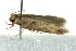  ( - BIOUG02126-C12)  @12 [ ] CreativeCommons - Attribution (2012) CBG Photography Group Centre for Biodiversity Genomics