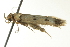  ( - BIOUG02126-H09)  @12 [ ] CreativeCommons - Attribution (2012) CBG Photography Group Centre for Biodiversity Genomics