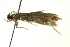  ( - BIOUG02127-G06)  @12 [ ] CreativeCommons - Attribution (2012) CBG Photography Group Centre for Biodiversity Genomics
