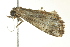  ( - BIOUG02128-C08)  @12 [ ] CreativeCommons - Attribution (2012) CBG Photography Group Centre for Biodiversity Genomics
