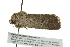  ( - BIOUG02183-A07)  @13 [ ] CreativeCommons - Attribution (2012) CBG Photography Group Centre for Biodiversity Genomics