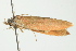  ( - BIOUG02185-A01)  @13 [ ] CreativeCommons - Attribution (2012) CBG Photography Group Centre for Biodiversity Genomics