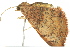  ( - BIOUG02186-D09)  @12 [ ] CreativeCommons - Attribution (2012) CBG Photography Group Centre for Biodiversity Genomics