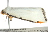  ( - BIOUG02186-F01)  @14 [ ] CreativeCommons - Attribution (2012) CBG Photography Group Centre for Biodiversity Genomics