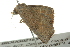  ( - BIOUG02188-E04)  @14 [ ] CreativeCommons - Attribution (2012) CBG Photography Group Centre for Biodiversity Genomics
