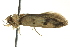  ( - BIOUG02243-C08)  @12 [ ] CreativeCommons - Attribution (2012) CBG Photography Group Centre for Biodiversity Genomics