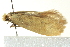  ( - BIOUG02243-D04)  @13 [ ] CreativeCommons - Attribution (2012) CBG Photography Group Centre for Biodiversity Genomics