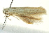  ( - BIOUG02243-E08)  @12 [ ] CreativeCommons - Attribution (2012) CBG Photography Group Centre for Biodiversity Genomics