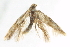  ( - BIOUG02243-F02)  @13 [ ] CreativeCommons - Attribution (2012) CBG Photography Group Centre for Biodiversity Genomics