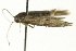  ( - BIOUG02243-F04)  @13 [ ] CreativeCommons - Attribution (2012) CBG Photography Group Centre for Biodiversity Genomics