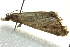  ( - BIOUG02243-G12)  @13 [ ] CreativeCommons - Attribution (2012) CBG Photography Group Centre for Biodiversity Genomics