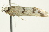  ( - BIOUG02124-C01)  @13 [ ] CreativeCommons - Attribution (2012) CBG Photography Group Centre for Biodiversity Genomics