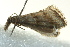  ( - BIOUG02124-C10)  @12 [ ] CreativeCommons - Attribution (2012) CBG Photography Group Centre for Biodiversity Genomics