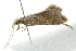  ( - BIOUG02091-G10)  @12 [ ] CreativeCommons - Attribution (2012) CBG Photography Group Centre for Biodiversity Genomics