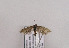  ( - TLMF Lep 03875)  @14 [ ] CreativeCommons - Attribution Non-Commercial Share-Alike (2011) Peter Huemer Tiroler Landesmuseum Ferdinandeum