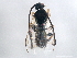  ( - 10PHMAL-0537)  @13 [ ] CreativeCommons - Attribution (2011) CBG Photography Group Centre for Biodiversity Genomics