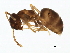  ( - 10PHMAL-0727)  @15 [ ] CreativeCommons - Attribution (2011) CBG Photography Group Centre for Biodiversity Genomics