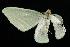  ( - moth643.02)  @12 [ ] CreativeCommons - Attribution (2010) Unspecified Centre for Biodiversity Genomics