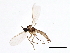  ( - 10PHMAL-1836)  @12 [ ] CreativeCommons - Attribution (2011) CBG Photography Group Centre for Biodiversity Genomics