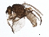  ( - 10PHMAL-1154)  @13 [ ] CreativeCommons - Attribution (2011) CBG Photography Group Centre for Biodiversity Genomics