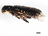  ( - 10PHMAL-1794)  @12 [ ] CreativeCommons - Attribution (2011) CBG Photography Group Centre for Biodiversity Genomics