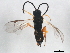  ( - 10PHMAL-1846)  @12 [ ] CreativeCommons - Attribution (2011) CBG Photography Group Centre for Biodiversity Genomics