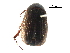  ( - 10PHMAL-2419)  @13 [ ] CreativeCommons - Attribution (2016) CBG Photography Group Centre for Biodiversity Genomics