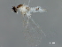  ( - 10PHMAL-3023)  @12 [ ] CreativeCommons - Attribution (2019) CBG Photography Group Centre for Biodiversity Genomics