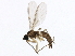  ( - 10PHMAL-2997)  @14 [ ] CreativeCommons - Attribution (2012) CBG Photography Group Centre for Biodiversity Genomics