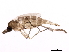 ( - 10PHMAL-2748)  @12 [ ] CreativeCommons - Attribution (2012) CBG Photography Group Centre for Biodiversity Genomics
