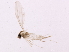  ( - 10PHMAL-3018)  @12 [ ] CreativeCommons - Attribution (2012) CBG Photography Group Centre for Biodiversity Genomics
