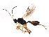  ( - BIOUG00861-B12)  @11 [ ] CreativeCommons - Attribution (2011) CBG Photography Group Centre for Biodiversity Genomics
