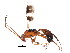  ( - BIOUG00861-D08)  @13 [ ] CreativeCommons - Attribution (2011) CBG Photography Group Centre for Biodiversity Genomics