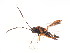  ( - BIOUG00861-F10)  @12 [ ] CreativeCommons - Attribution (2011) CBG Photography Group Centre for Biodiversity Genomics