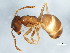  ( - BIOUG00786-C07)  @14 [ ] CreativeCommons - Attribution (2011) CBG Photography Group Centre for Biodiversity Genomics