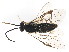  ( - BIOUG00801-C11)  @12 [ ] CreativeCommons - Attribution (2011) CBG Photography Group Centre for Biodiversity Genomics