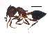  ( - BIOUG00820-B07)  @13 [ ] CreativeCommons - Attribution (2011) CBG Photography Group Centre for Biodiversity Genomics