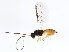  ( - BIOUG00820-D05)  @12 [ ] CreativeCommons - Attribution (2011) CBG Photography Group Centre for Biodiversity Genomics